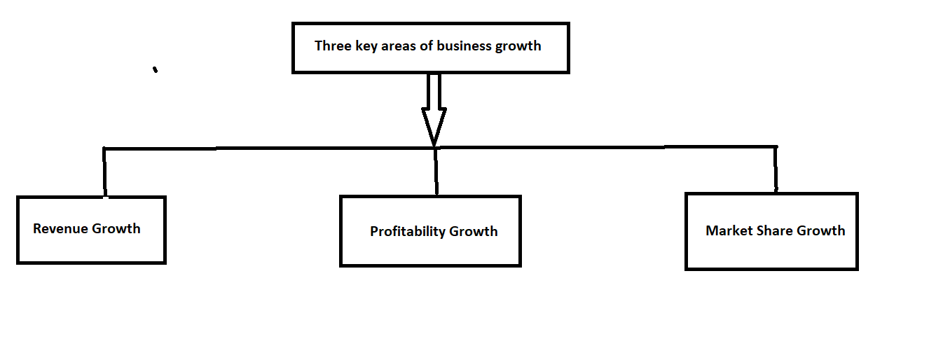 business growth strategies,