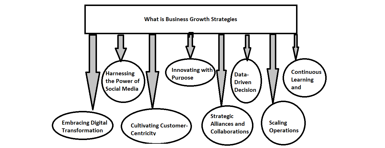 business growth strategies,